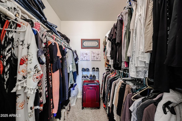 walk in closet with carpet flooring