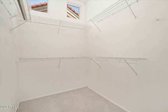 spacious closet featuring carpet floors