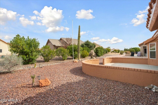 view of yard featuring a patio area