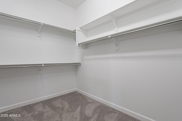 36169 N Serrano Ave, Queen Creek, AZ 85140 - walk in closet with carpet floors