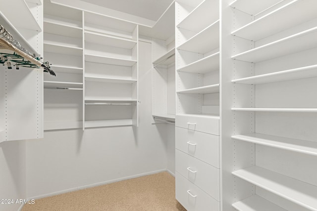 spacious closet with light carpet