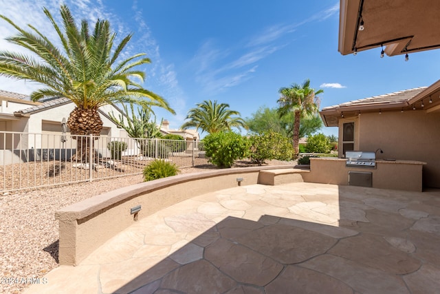 view of patio / terrace featuring grilling area and area for grilling