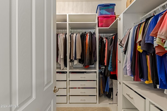 view of walk in closet