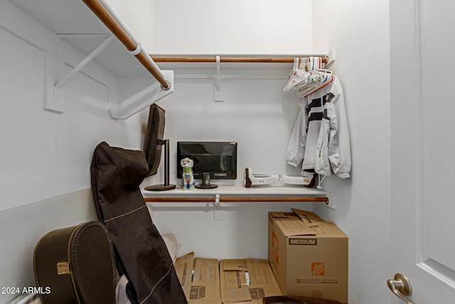 view of spacious closet