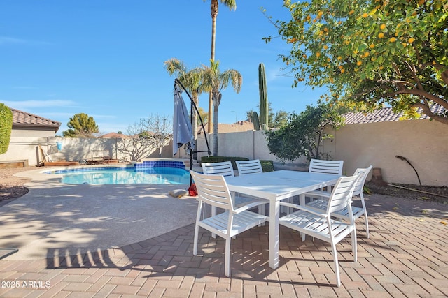 view of swimming pool with a patio