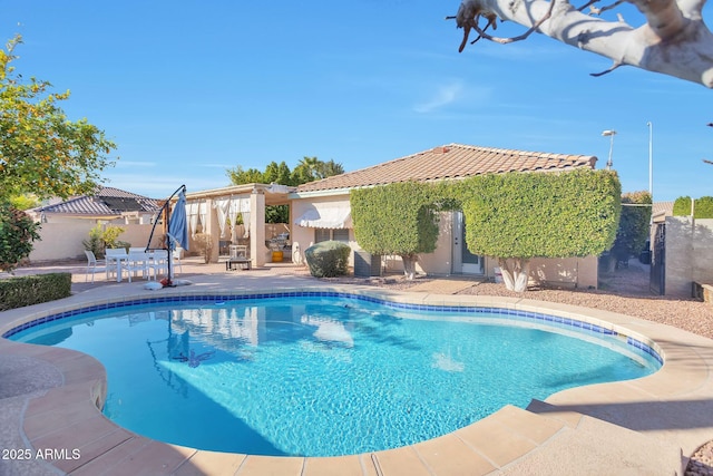 view of pool featuring a patio area