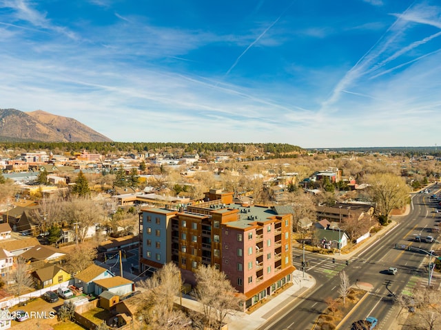 birds eye view of property with a mountain view