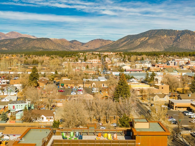 view of mountain feature