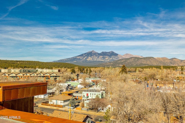 view of mountain feature