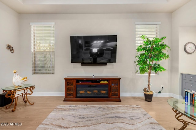 living room featuring hardwood / wood-style flooring