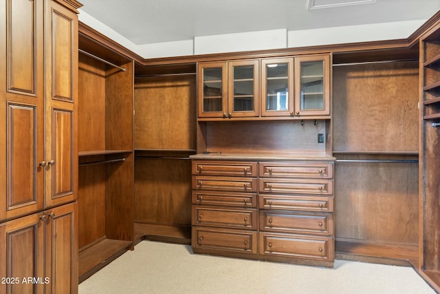 spacious closet with carpet