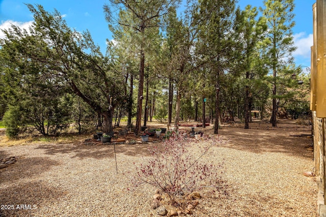 420 N Retreat Dr, Show Low, AZ 85901 - view of yard