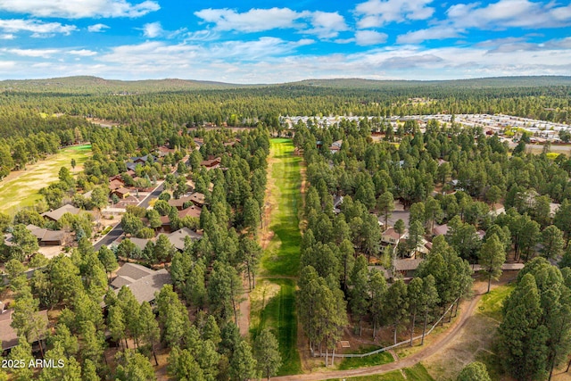 420 N Retreat Dr, Show Low, AZ 85901 - aerial overview of property's location with a forest