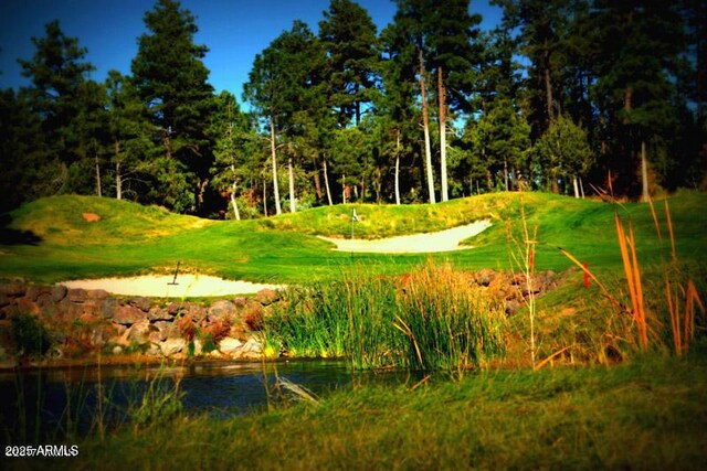 420 N Retreat Dr, Show Low, AZ 85901 - view of community with golf course view