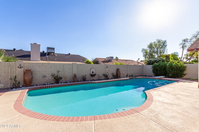 view of swimming pool with a patio area and a diving board