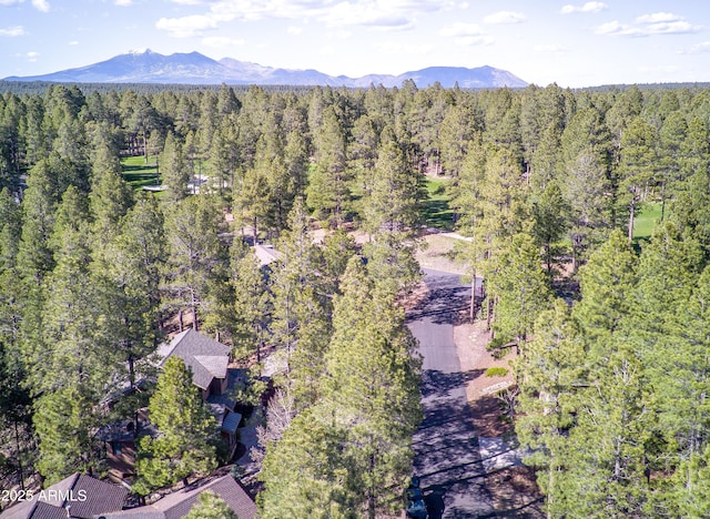 aerial view of property's location featuring a heavily wooded area and a mountainous background