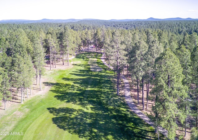 aerial view of a forest and mountains