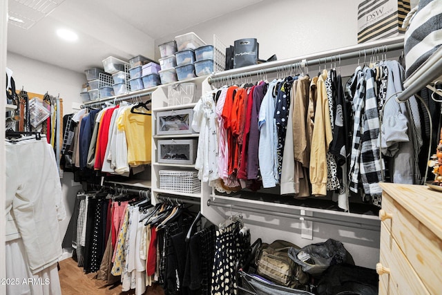 walk in closet with wood-type flooring