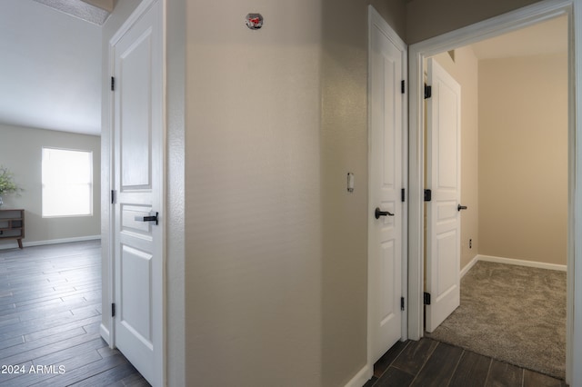 hall featuring dark wood-type flooring