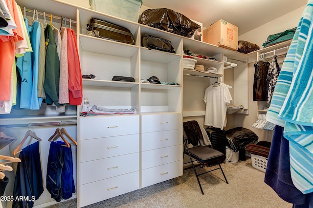 20454 N Palm Canyon Dr, Surprise, AZ 85374 - spacious closet featuring carpet flooring