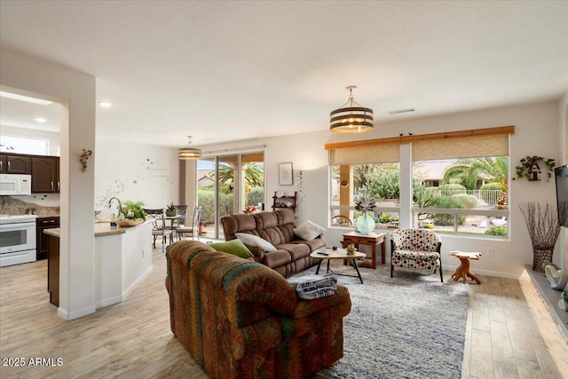 living room featuring light hardwood / wood-style flooring