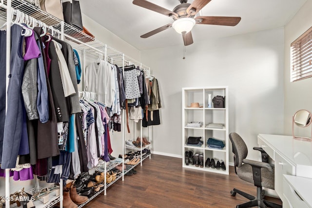 13420 W Berridge Ln, Litchfield Park, AZ 85340 - walk in closet featuring wood finished floors and a ceiling fan