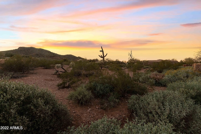 Listing photo 2 for 3963 S Two Mule Ln Unit 1, Gold Canyon AZ 85118