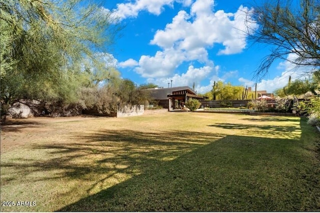 25232 N Horseshoe Trl, Scottsdale, AZ 85255 - view of green lawn