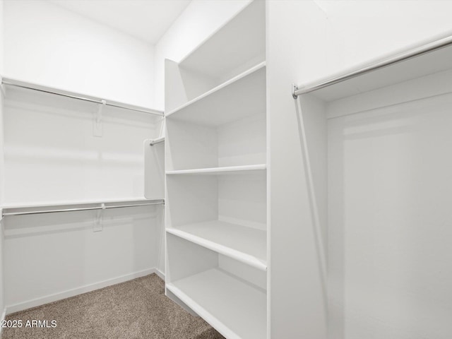 17561 W Pierson St, Goodyear, AZ 85395 - spacious closet with carpet