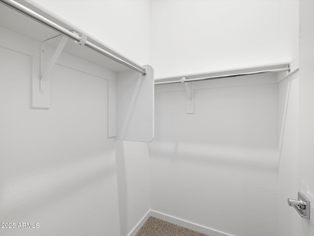17561 W Pierson St, Goodyear, AZ 85395 - walk in closet with carpet flooring