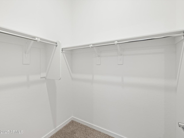 17561 W Pierson St, Goodyear, AZ 85395 - walk in closet featuring carpet floors