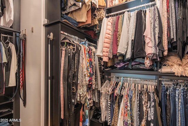 view of spacious closet