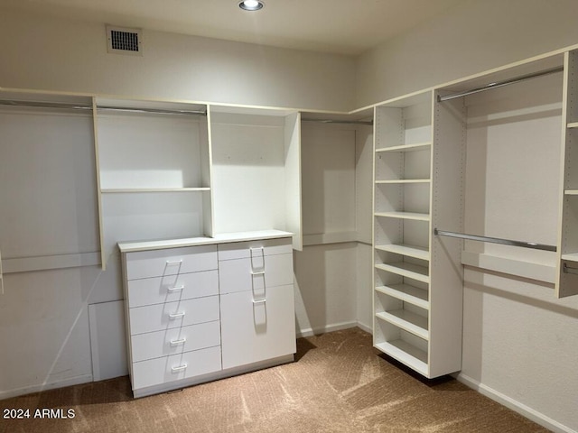 spacious closet with carpet