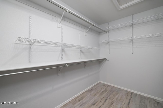 spacious closet with hardwood / wood-style floors