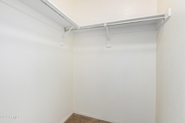 spacious closet featuring carpet