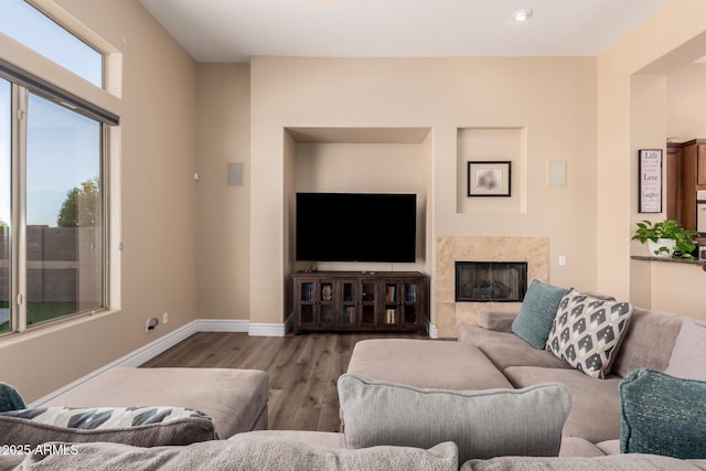 living room with hardwood / wood-style flooring and a premium fireplace