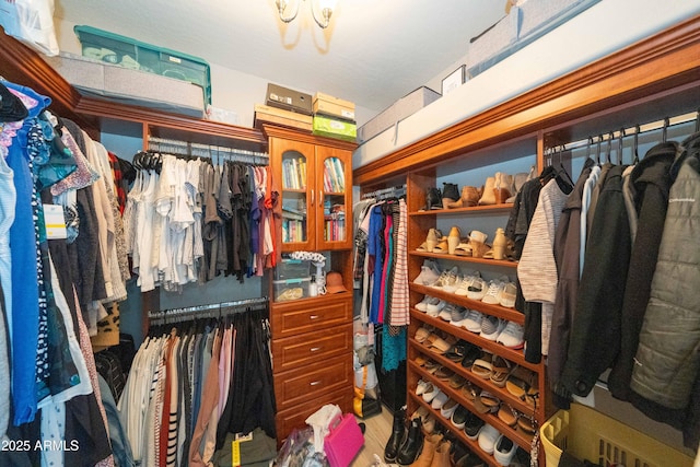 2224 W Olive Way, Chandler, AZ 85248 - view of spacious closet