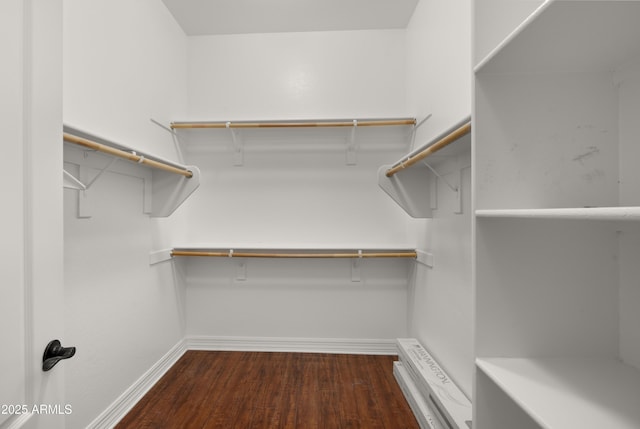 walk in closet with dark wood-style floors