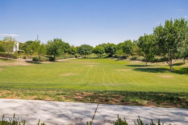 view of property's community featuring a yard