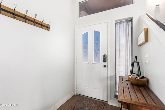 entrance foyer featuring dark hardwood / wood-style flooring