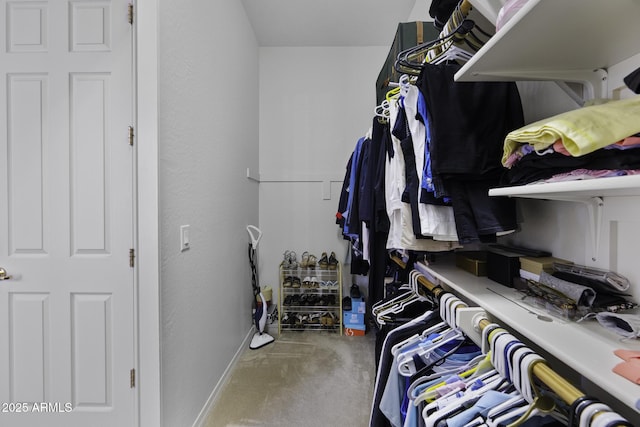 view of spacious closet