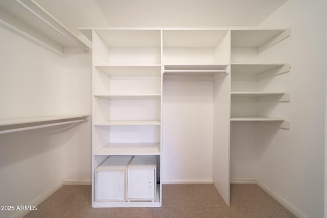 spacious closet with carpet floors