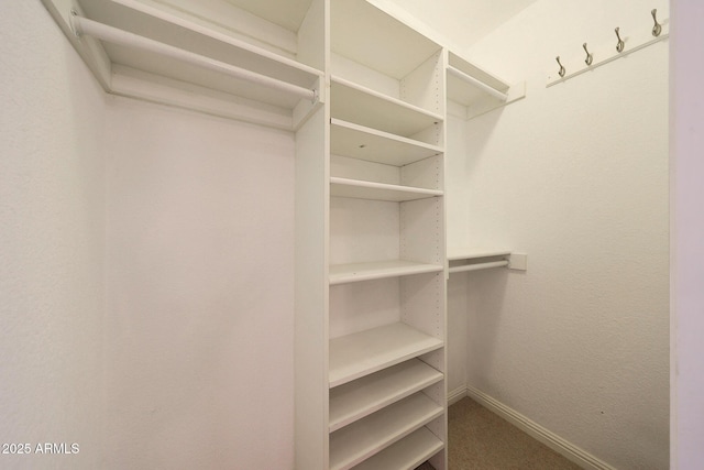 spacious closet featuring carpet flooring