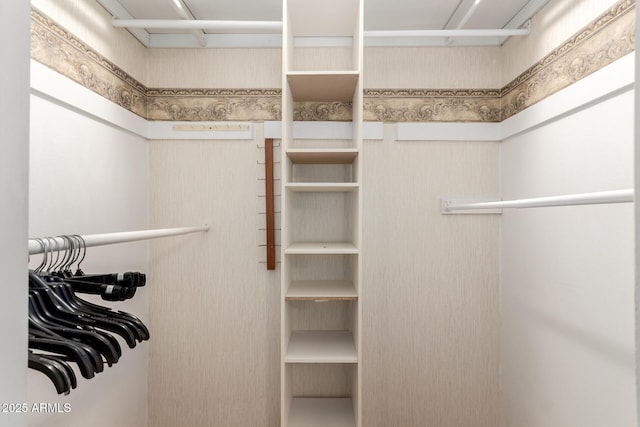 view of walk in closet