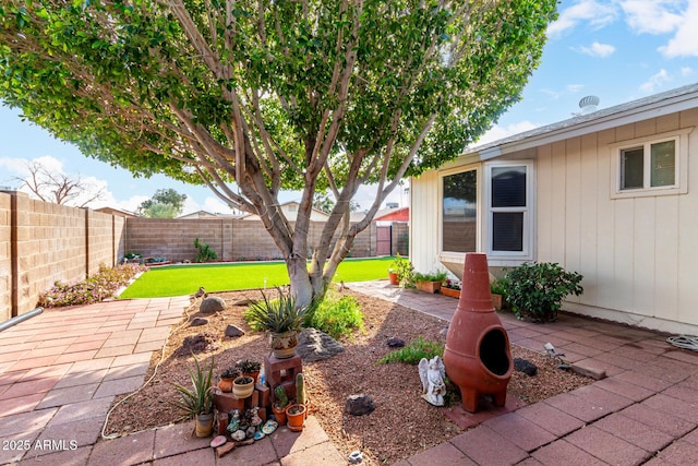 view of yard featuring a patio area