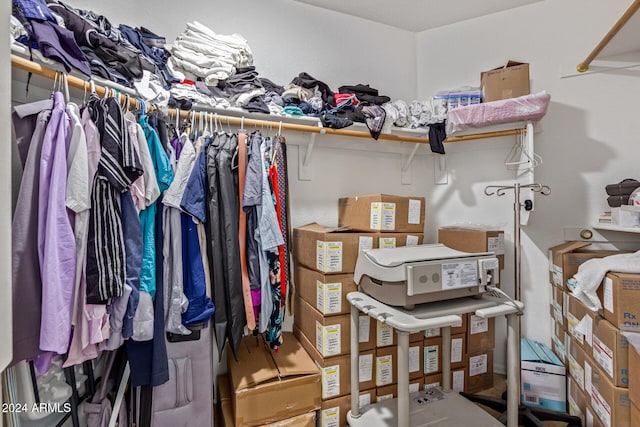 view of spacious closet