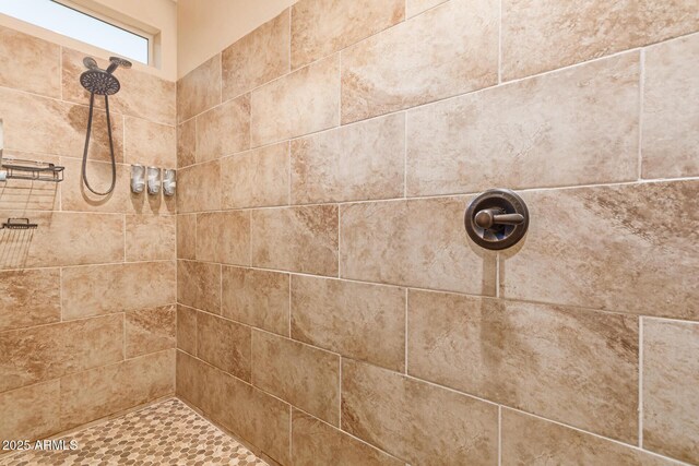 291 E Canyon Rock Rd, San Tan Valley, AZ 85143 - full bathroom featuring tiled shower