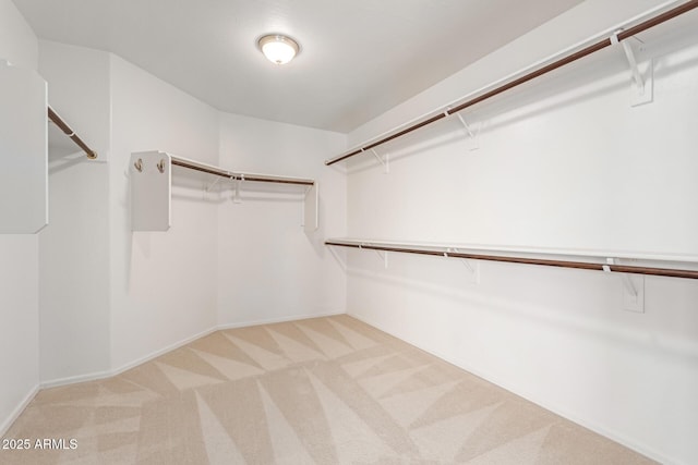 walk in closet featuring carpet