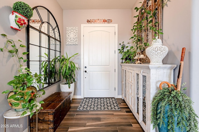 foyer entrance featuring dark hardwood / wood-style floors