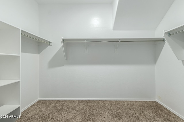 spacious closet with carpet flooring